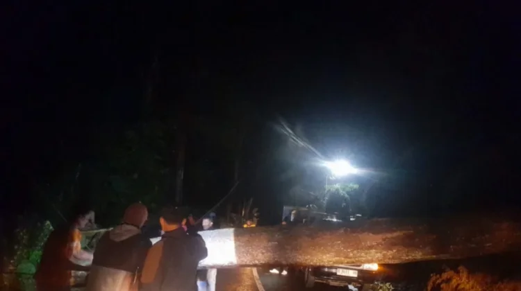 Pohon Tumbang Tutup Akses Jalan Garut Cisompet
