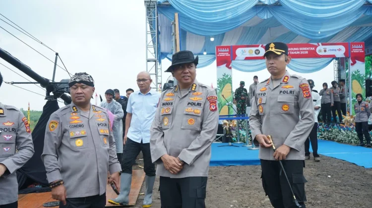 Puji Program Penanaman Jagung Polda Jabar, Kapolri; Bisa jadi Contoh Nasional
