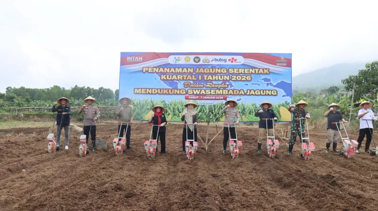 Swasembada Pangan, Polres Tanam Jagung Kuartal Pertama