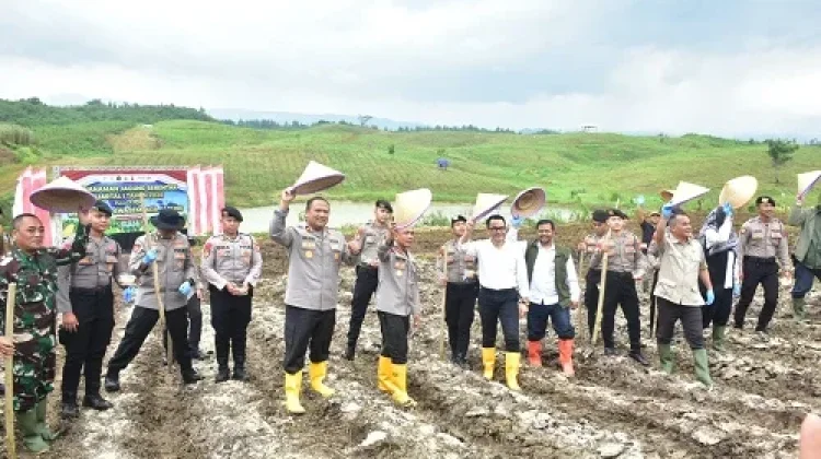 Program Ketahanan Pangan, Polda Jabar Tanam Jagung di Sumedang