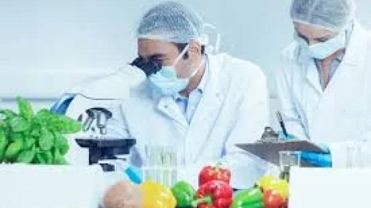 Teknik Pangan, Inovasi Pangan Lokal lewat “Feed You!”