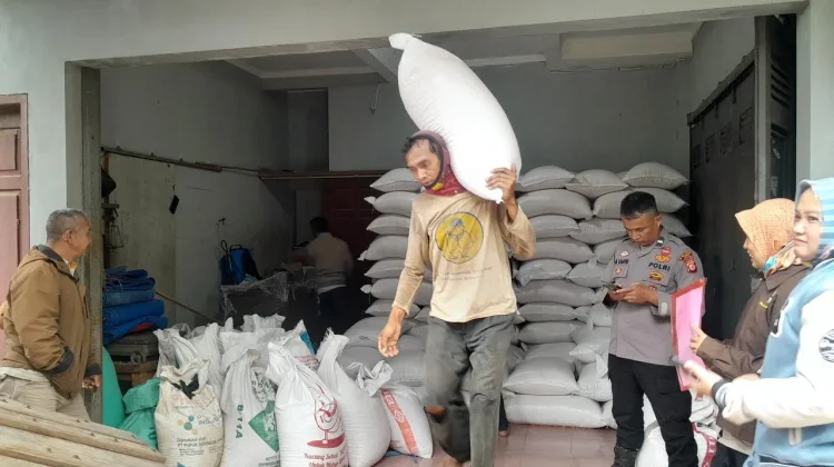 Ketahanan Pangan, Polsek Sukawening Monitoring Hasil Panen Jagung Petani