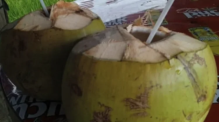 Degan : Minuman Pelepas Dahaga dan Menyehatkan