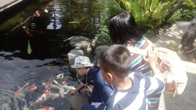 Hutanika: Space Alternatif Menikmati Hutan di Kota Bandung