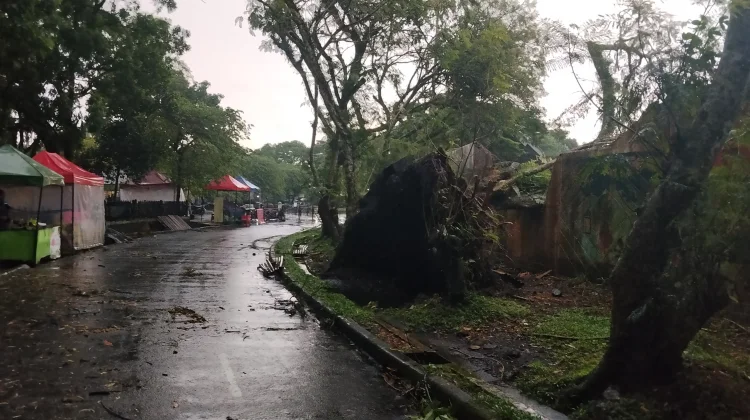 Hujan Deras, Tembok Stadion Wiradadaha Tasikmalaya Ambruk Ditimpa Pohon
