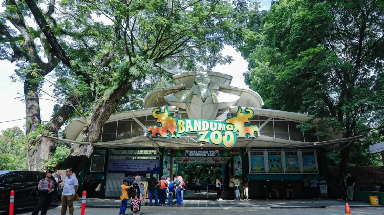 Dua Anak Harimau Mati, Pemkot Bandung Perketat Biosekuriti Kebun Binatang