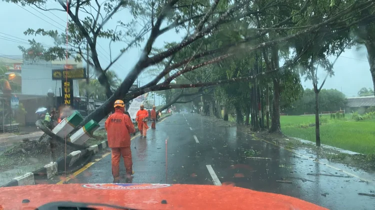 Hujan Deras, Pohon Tumbang dan Banjir Terjang Kota Tasikmalaya