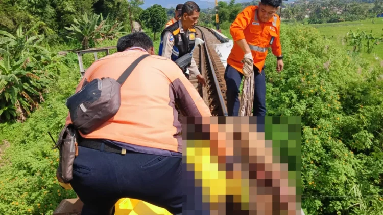 Pria Lansia di Leuwigoong Garut Tewas Tertabrak Kereta Api Argo Willis