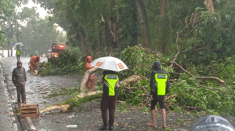 Pohon Patah akibat Hujan, Ganggu Lalu Lintas di Jalan Hardjakusumah Cimahi