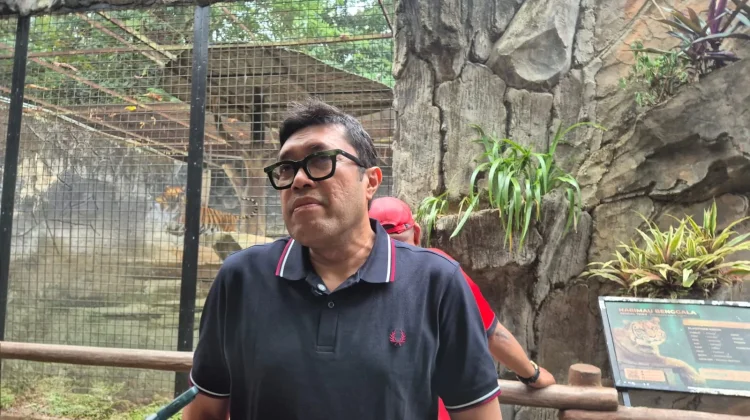 Megawati Instruksikan PDI Perjuangan Jabar Galang Donasi untuk Bandung Zoo
