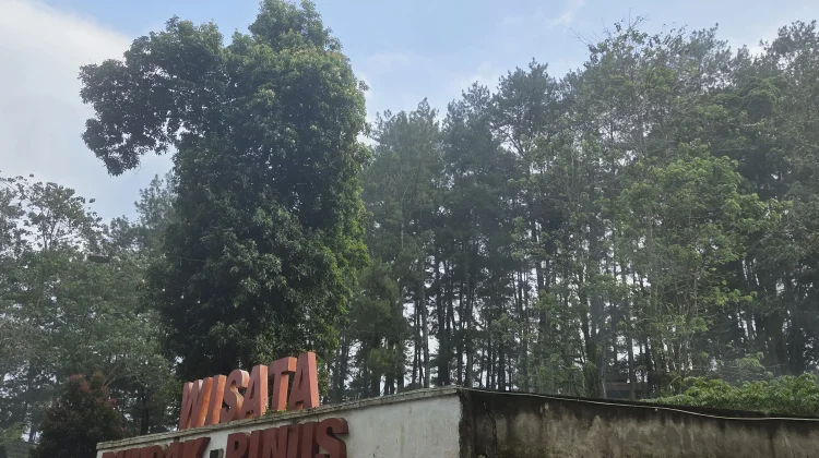 Taman Wisata Puncak Pinus yang Menjadi Salah Satu Destinasi Favorit Wisatawan