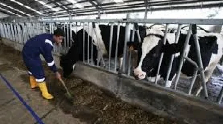 ITB dan BRIN Kolaborasi Iptek, Industri Peternakan Berkelanjutan