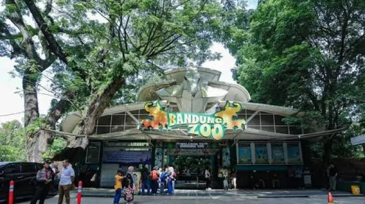 Pemprov Bakal Tanggung Gaji Karyawan Bandung Zoo yang Tertunda