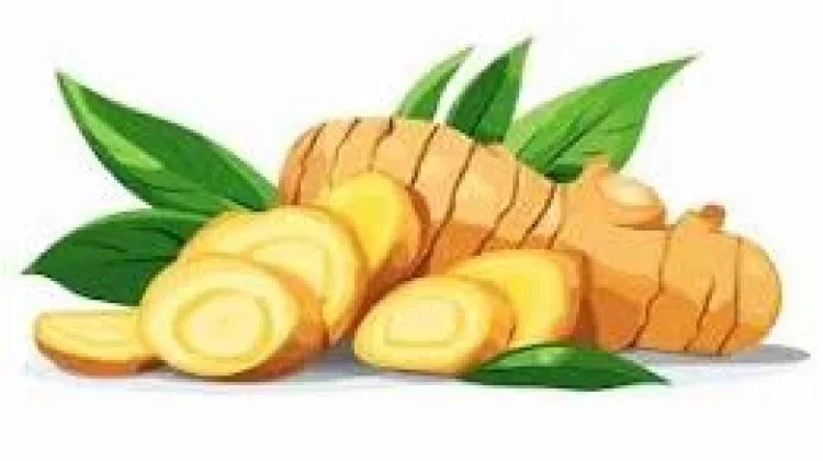 Obat Alami untuk Menyembuhkan Vertigo