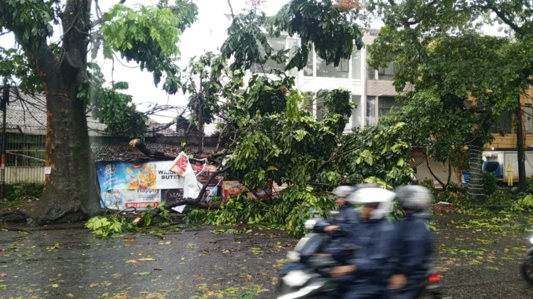 Hujan Deras dan Angin Kencang Terjang Bandung