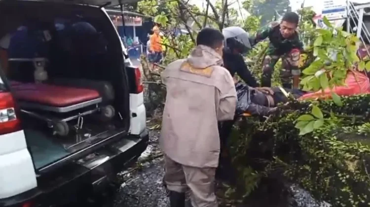 Pemotor Tertimpa Pohon saat Berteduh