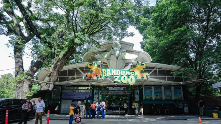 Gubernur Jabar Bayarkan Gaji Pegawai Bandung Zoo Dua Bulan yang Tertunda