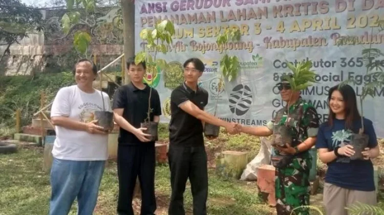 Penanaman 366 Pohon, Kolaborasi Citarum Harum Perkuat Pelestarian Lingkungan