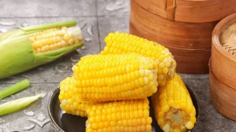 Jagung Sehat Pengganti Nasi Sehari-hari