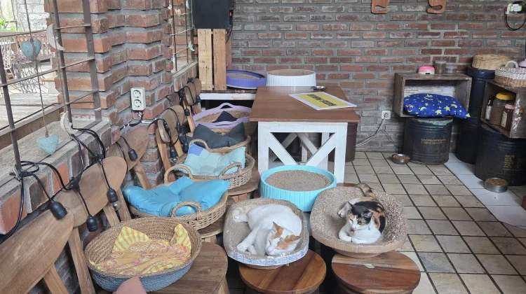 Warung Kopi Modjok, Ngopi Terasa di Rumah Sendiri