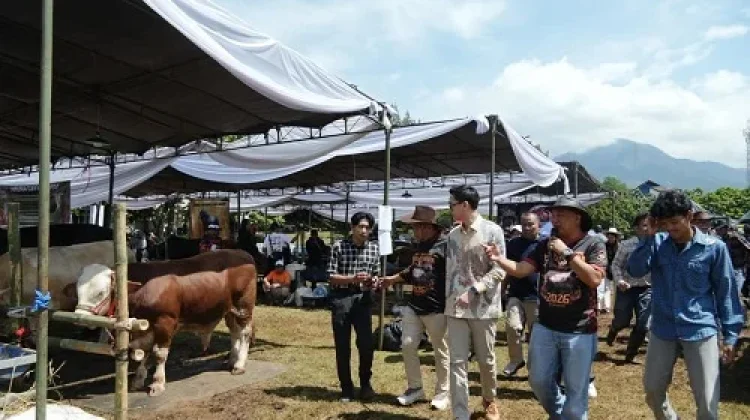 Peternak Didorong Jadi Pemain Utama di Gebyar Ternak Padjadjaran 2026