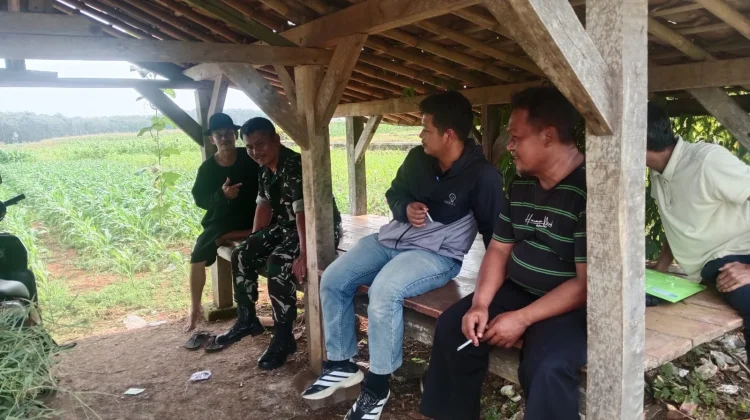 Babinsa Koramil Kalijati Serap Aspirasi Masyarakat Petani