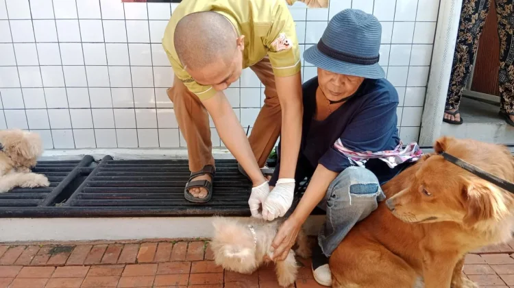 Pemkot Bandung Gelar Vaksinasi Rabies Gratis di Cikutra