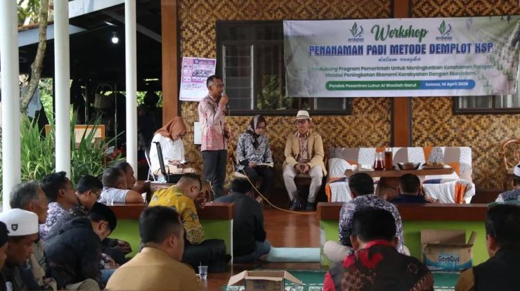 Pemkab : Kontribusi Sektor Padi dan Jagung Naik 5,9 Persen