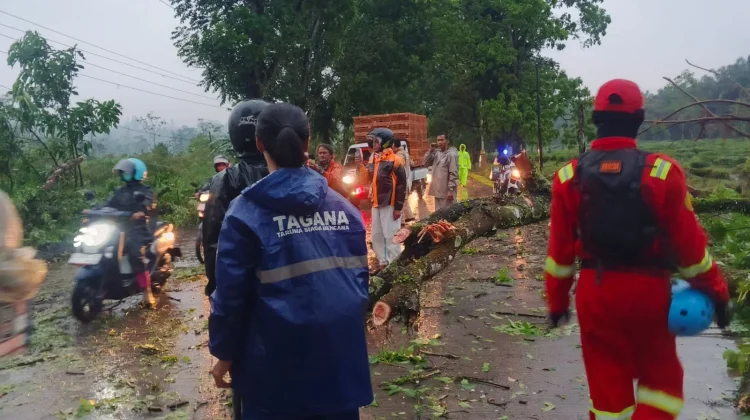 Tagana Catat Ada 136 Bencana Alam Terjadi di Subang