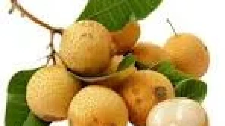 Manfaat Buah Kelengkeng untuk Kesehatan Tubuh