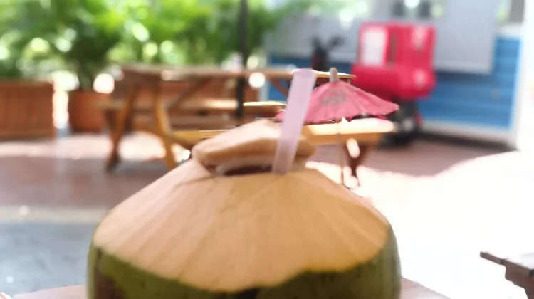 Segar Alami Air Kelapa, Sehatkan Tubuh