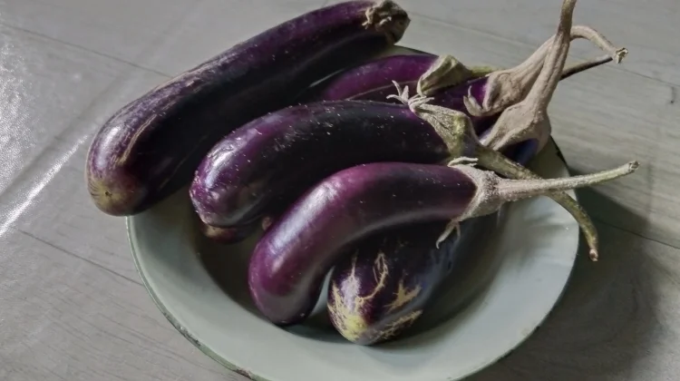 Terong Ungu, Sayur Bernutrisi Baik untuk Kesehatan