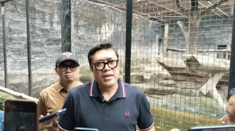 Selamatkan Bandung Zoo, PDIP Jabar Gelontorkan Rp145 Juta untuk BPJS dan Pakan