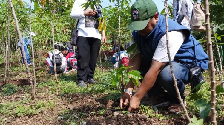 Penghijauan Eks TPA Leuwigajah Dipercepat, 400 Bibit Tanaman Ditanam