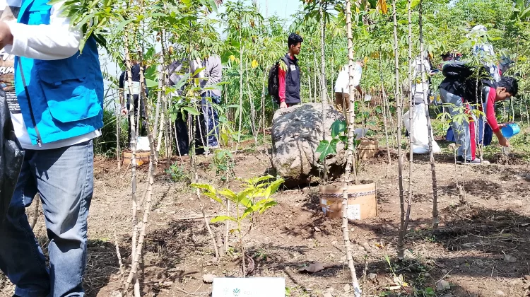 Ancaman Kemarau Panjang, DLH Cimahi Siapkan Strategi Pemeliharaan Tanaman