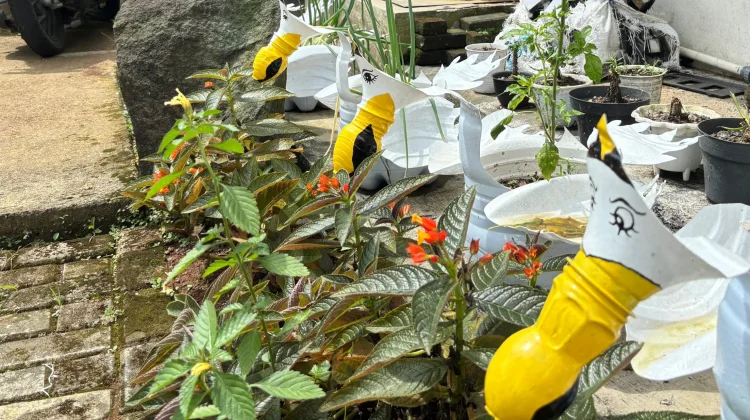 Pemkab Tasikmalaya Dorong Pemanfaatan Lahan Pekarangan Produktif