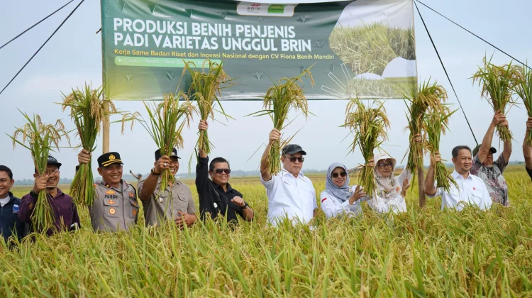 Wabup Subang Berharap BRIN Hadirkan Teknologi Pertanian Selain Varietas Benih