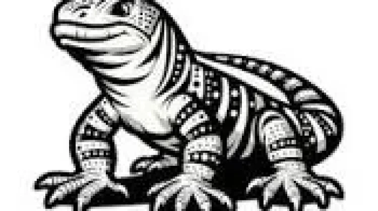 Cara Mengusir Biawak dalam Rumah dengan Aman