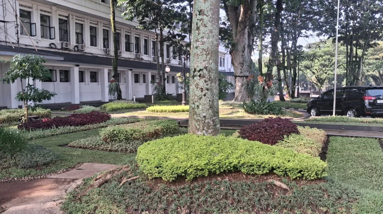 Perkuat Mitigasi Bencana, BPBD Kota Bandung Siapkan Program Hutan Kota