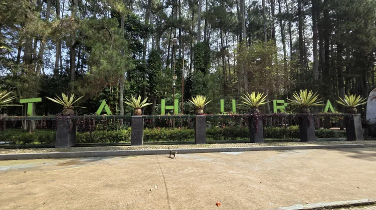 Revitalisasi Tahura, Menarik Perhatian Wisatawan