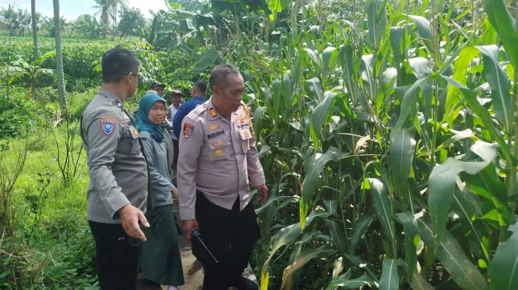Polisi dan BPP Bersinergi Fasilitasi Harga Jual Jagung Petani