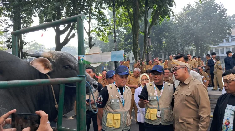 Pemkot Bandung Lepas 184 Petugas Pemeriksa Hewan Kurban