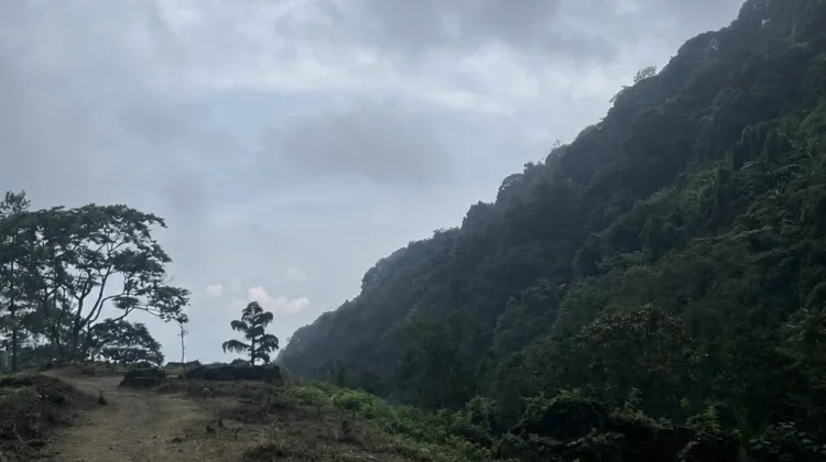Mahasiswa ITB Putus Komunikasi di Gunung Puntang Akhirnya Ditemukan Selamat