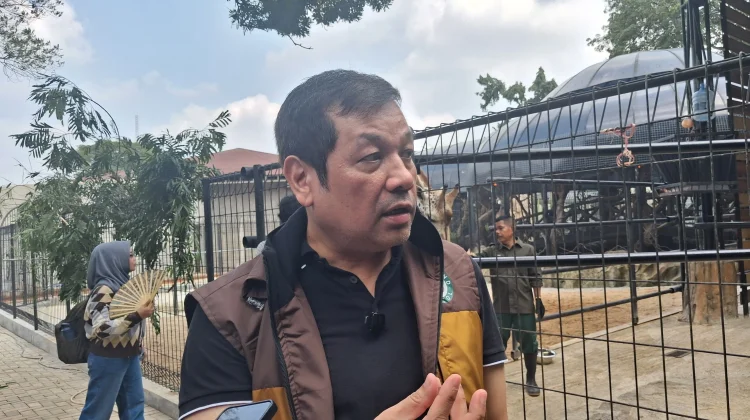 Faunaland Siapkan Konsep City Zoo Modern jika Terpilih Kelola Bandung Zoo