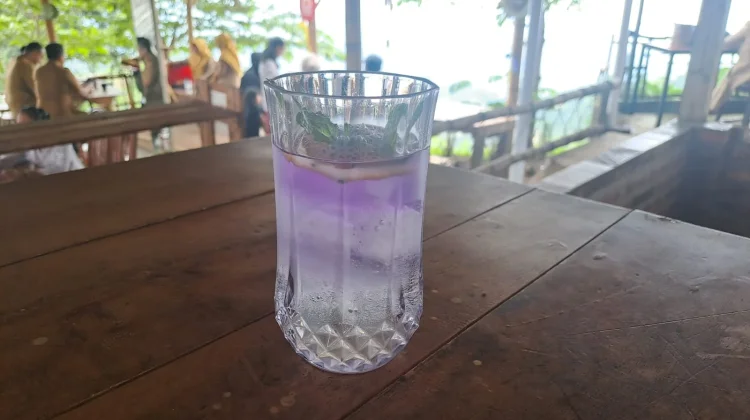 Manfaat Minuman dari Bunga Telang untuk Kesehatan