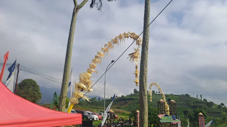 Mengenal Makna Janur Kuning dalam Kebudayaan Sunda