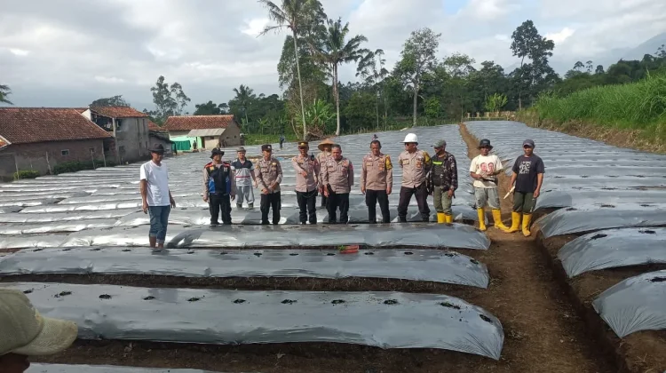 Desa Sirnajaya Dukung Langkah Polisi Berdayakan Lahan Tidur