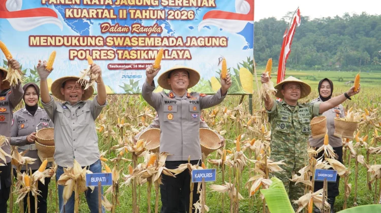 Perkuat Ketahanan Pangan, Polres Tasikmalaya Panen Raya Jagung