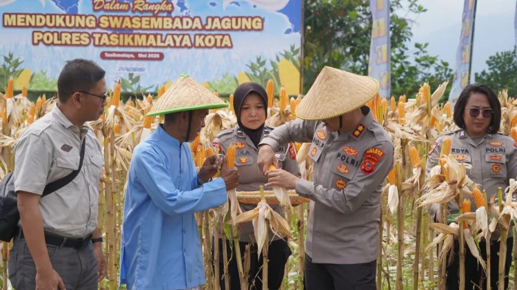 Panen Raya Jagung Serentak, Kapolresta Tasikmalaya: Dukung Swasembada Jagung