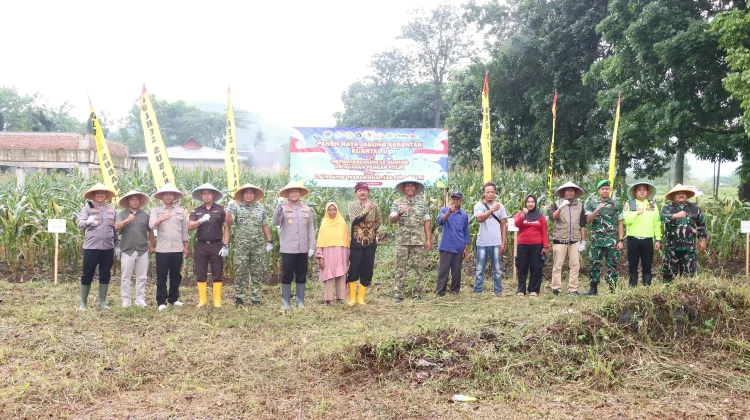Kapolres Subang Bersama Forkopimda Hadiri Panen Raya Jagung Serentak